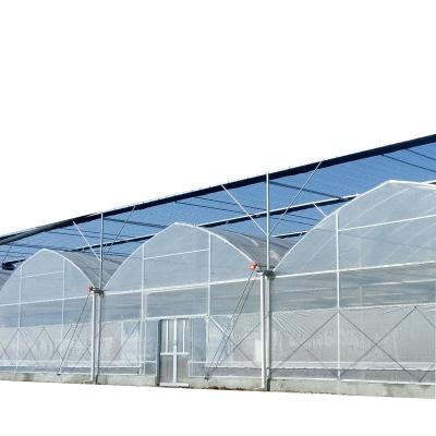 China Agricultural Multi Span Poly Film Tunnel Greenhouse With Hydroponics Planting System For Tomato Pepper Lettuce Strawberry Tomato for sale