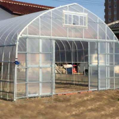 China Wuxi Zewo 2023 Agricultural Single Span PE Film Greenhouse For Agriculture With Galvanized Steel Frame for sale