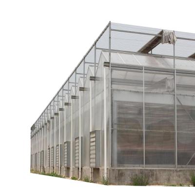 China Greenhouses 4mm Polycarbonate Panel Hobby Garden Walk-in Greenhouse PC Vegetable and Flower Planting for sale