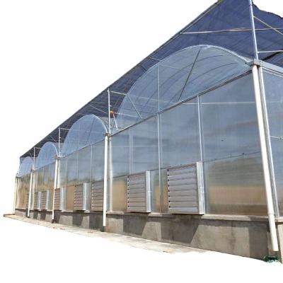 China Planting Vegetables And Flowers Polycarbonate Sheet Glass Covered Greenhouse For Cucumber Leafy Vegetables Flower House Garden Products Hydroponics Growing System for sale