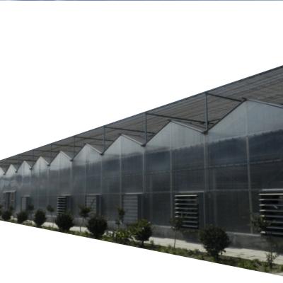 China Leaf Agriculture Flower Greenhouse Planting Vegetables And Flowers PC Equipped With Fog System for sale