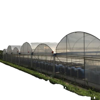 China Planting Vegetables And Flowers Long Life PC Greenhouses Polycarbonate Greenhouse Film China for sale