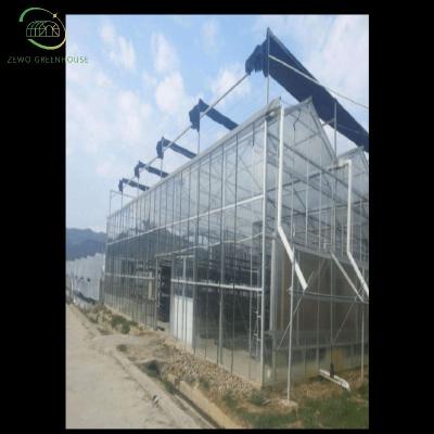 China Planting Vegetables And Flowers Large Performance Glass Greenhouse For Vegetables / Fruits / Flowers for sale