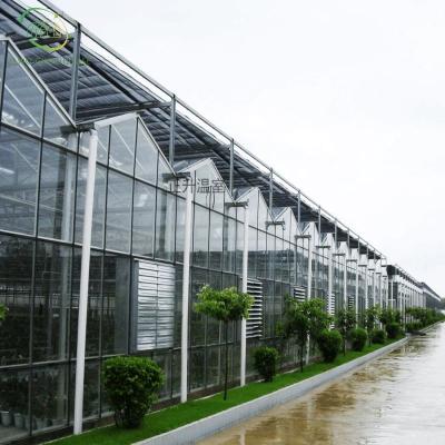 China Planting Vegetables and Flowers Venlo Double Cavity Tempered Glass Greenhouse with Hydroponics Growing System for Vegetables/Flowers/Tomato/Farm/Garden/Eco Rest for sale