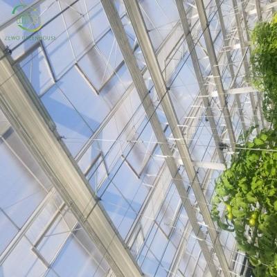 China Planting Wuxi Zewo 2023 high quality glass greenhouse of vegetables and flowers for scientific research for sale