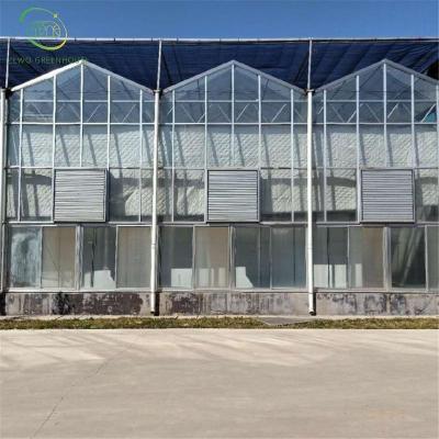 China Planting Wuxi Zewo Multi-span High Quality Glass Greenhouse Of Vegetables And Flowers For Agriculture for sale