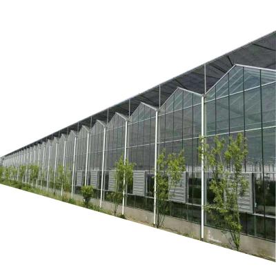 China Planting Greenhouse Structure Agricultural Greenhouse Manufacturer Greenhouse Winter Conservatory Vegetables and Flowers Commercial Glass Greenhouses for sale