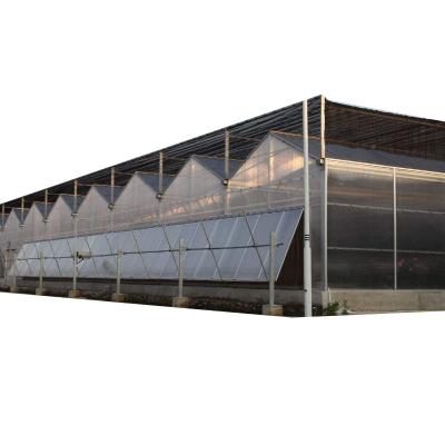 China Planting Vegetables And Flowers Multi / Polycarbonate Panel PC Span Arch Venlo Single Type Greenhouse for sale