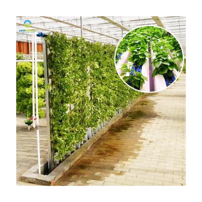 China Planting Vegetables and Flowers 2023 Hotsale China Plant Hydroponic Systems For Greenhouse With High Quality for sale