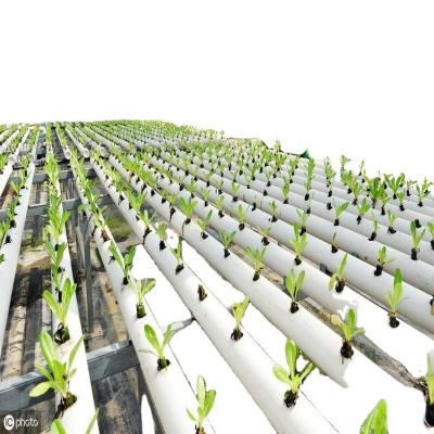 China Planting Vegetables and Flowers Hydroponic Growing System Microgreen Grow System Nft Hydroponic PVC Channel Large Film Drip Irrigation Boiler Room for sale