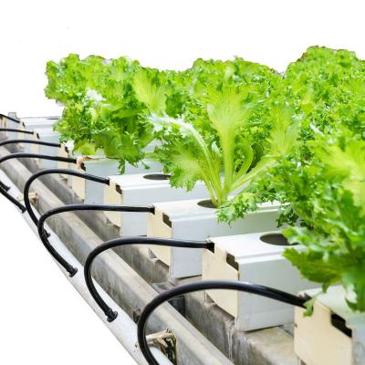 China Planting Horizontal Vegetables And Flowers And Vertical Greenhouse Complete Hydroponic System for sale