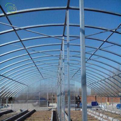 China Planting vegetables and flowers factory low price industrial pipe galvanized agriculture frame polycarbonate greenhouse for sale for sale