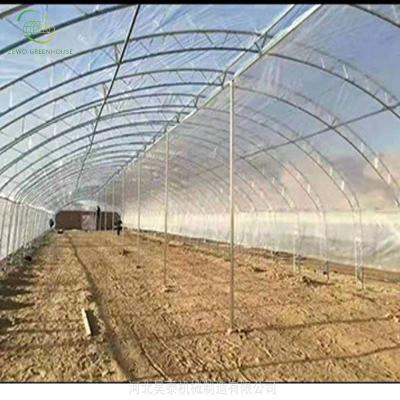 China Planting Vegetables And Flowers Galvanized Steel Pipe Frame Agriculture Single-Span Greenhouse for sale