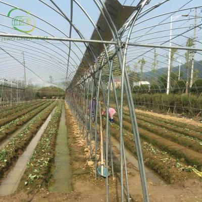 China Planting Vegetables And Flowers Low Price Large Size Galvanized Steel Pipe Multi-span Cultivation Hydroponics System Film Greenhouse For Agriculture for sale