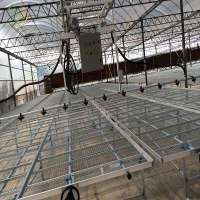 China Agricultural Single Span Greenhouse Nursery Bed Galvanized Welded Wire Mesh Steel Seedbed for sale