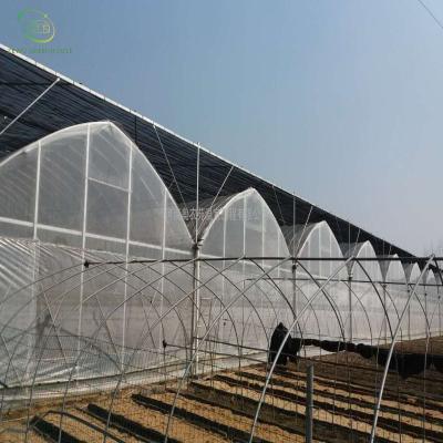 China Agricultural Wholesale Po&PE Film Greenhouse Agricultural Plastic Sheet for sale