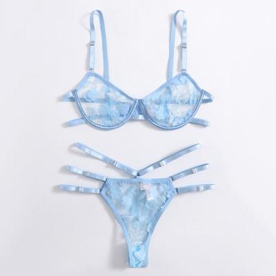 China Hot Selling Sky Blue Daily Wear 2 Pieces Floral Embroidered Mesh Transparent Sexy Lingerie Set For Women for sale