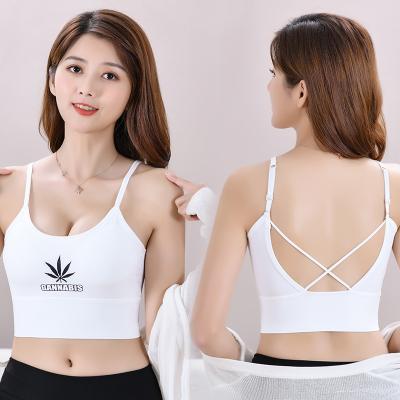 China QUICK DRY Popular Multicolor Betrayal Wrap Chest Adjustable Straps Straps Women Sports Bra for sale