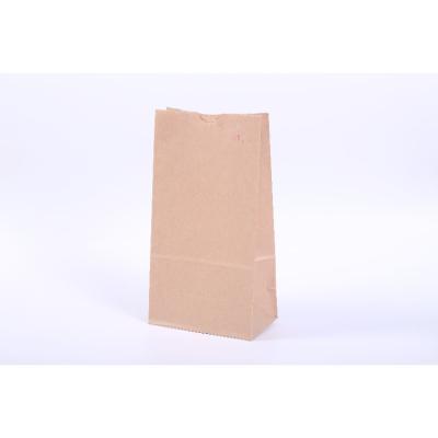 China Recyclable Breadfruit Vegetable Food Without Handle Paper Toast Bag, Craft Paper Bag For Bread Fruits And Vegetables for sale