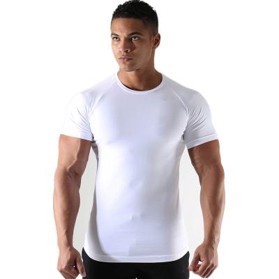 China Anti-Wrinkle OEM Summer Gym Wholesale Men's Fitness T-shirt Men's Gym Sports Clothes Tee for sale