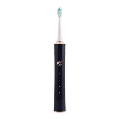 China New Sonic Heads Electronic Automatic Toothbrush USB Battery Powered Professional Portable Wholesale for sale