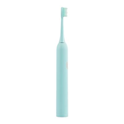 China High Quality Battery Operated Adult Electric Toothbrush Color Natural Soft Nylon Handle OEM/ODM for sale