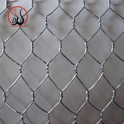 China Corrosion Resistance Galvanized Hexagonal Wire Netting Chicken Wire Mesh 25mm Mesh Size for sale