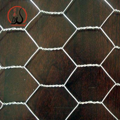 China Gabions Good Quality Galvanized Hexagonal Wire Netting Chicken Mesh for sale