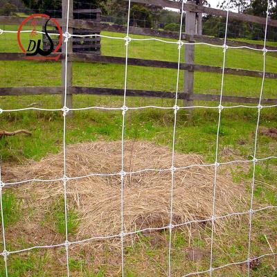 China Easily Assembled Fixed Factory Play Fence Knot Farm Fence / 8ft Field Wire Fence for sale