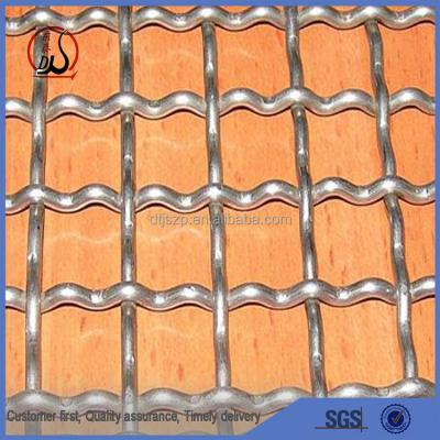 China Corrosion Resistance Stainless Crimple Wire Mesh Screen Cloth Wire Mesh for sale