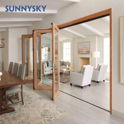 China Sound Insulation Exterior Double Folding Glass Door Glass For Apartment for sale