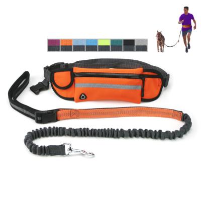 China Dropshipping Padded Hands Posture Belt Free Service Reflective Outdoor Dog Running Leash Lead for sale