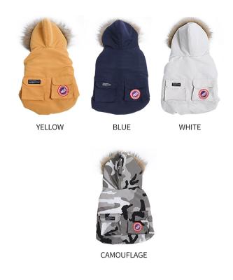 China Windproof, Warm And Lovely Stored Pet Thickened Cotton Hat In Winter for sale