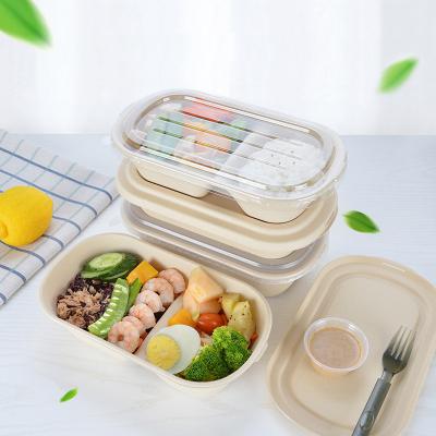 China Wholesale Biodegradable Disposable Freshness Keeping Take Out Bento Container Stackable Portable Bagasse Quadrate Lunch Box Food Packaging for sale