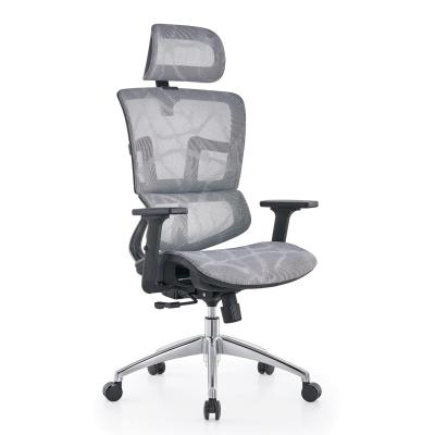 China (Size) China Most Popular Ergonomic Office Chair Adjustable Modern Mesh Style Mesh Chair Adjustable Back Arm for sale