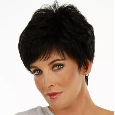 China Easy Apply Short Straight Natural Black Hair Cheap Human Hair Wig Beauty Personal Care for sale