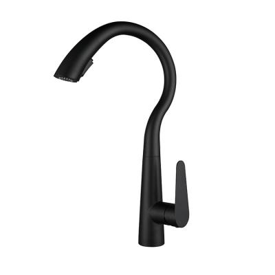 China Thermostatic Faucets Black Question Mark Stainless Steel 304 New Kitchen Faucet for sale