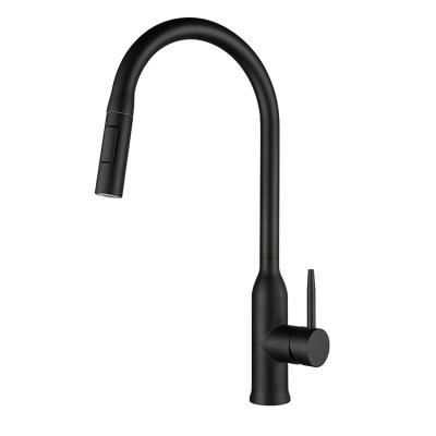 China Thermostatic Faucets Black 304 Stainless Steel Multifunctional Pull Out Kitchen Faucet for sale