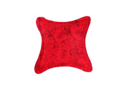 China Custom Small Red Decorative Pillows for Sofa , Modern Couch Pillows for sale