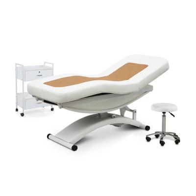 China New 2021 Beauty Clinic Salon French Adjustable Stationary Comfortable Massage Table Electric Facial Bed for sale