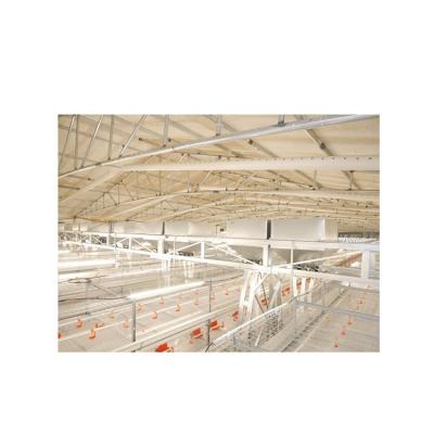 China Widely Used Long Life Fully Automatic Farms Poultry Husbandry Equipment , High Quality Chicken Houses For Farms for sale