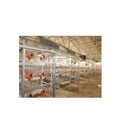 China Farms Newly Designed Industrial Farm Chicken House Labor Saving Fully Automatic Poultry Breeding Equipment for sale