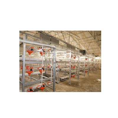 China Farms Wholesale Modern High Quality Long Life Fully Automatic Farm Chicken Houses Poultry Farming Equipment for sale