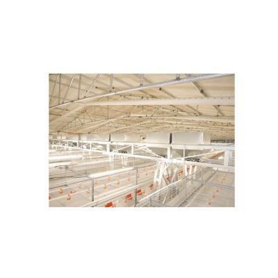 China Farms 2021 Hot-selling high-quality large-scale chicken cages fully automatic long-life farm poultry farming equipment for sale