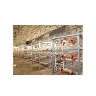 China Farms 2021 New Design Galvanized Metal Chicken House Fully Automatic Poultry Breeding Equipment For Farm for sale