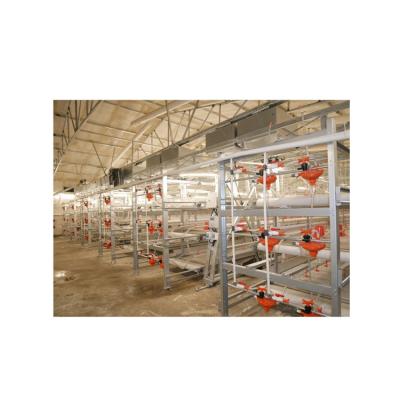 China Farms Sale of Labor-saving Poultry Farming Equipment Made of Galvanized Steel with Long Life and High Density and Deluxe Chicken House for sale