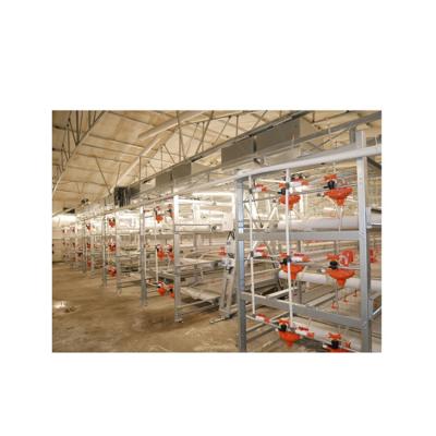 China Farms New Design Poultry Breeding Equipment Chicken House Farm Industry Hot-selling Galvanized Steel Full Automatic Breeding for sale