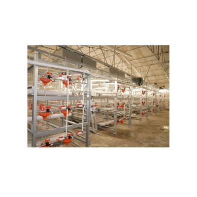 China Widely Used High Quality Farms Poultry Breeding Equipment With Low Price And Long Service Life , Fully Automatic Farm Chicken House for sale