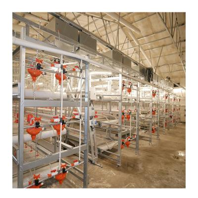 China Customizable Designed YK-JL Chickens Chicken Cage Long Service Life Automatic Chicken Cage for sale