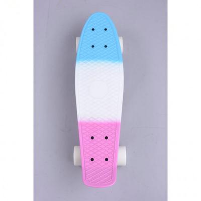 China Aktebaord Sports Cheap Plastic Fish 22 Inch Skateboard For Kids for sale